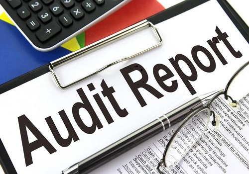 Audit Report for website